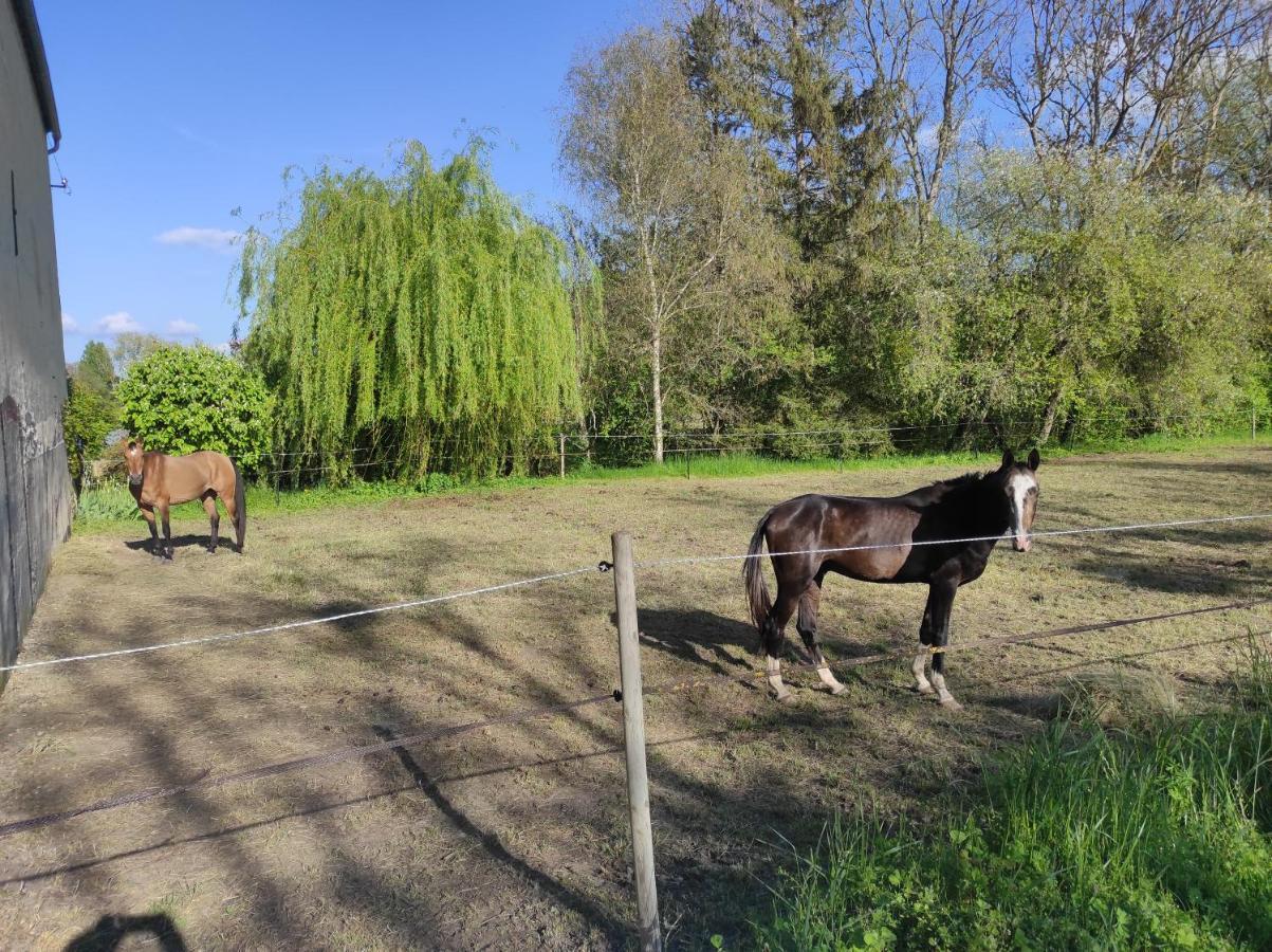 فيلا Le Moulin Neuf Brienon-sur-Armançon المظهر الخارجي الصورة