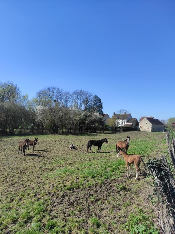 فيلا Le Moulin Neuf Brienon-sur-Armançon المظهر الخارجي الصورة