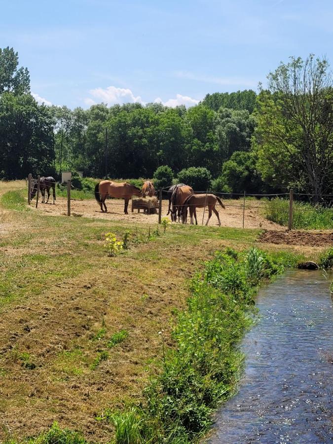 فيلا Le Moulin Neuf Brienon-sur-Armançon المظهر الخارجي الصورة
