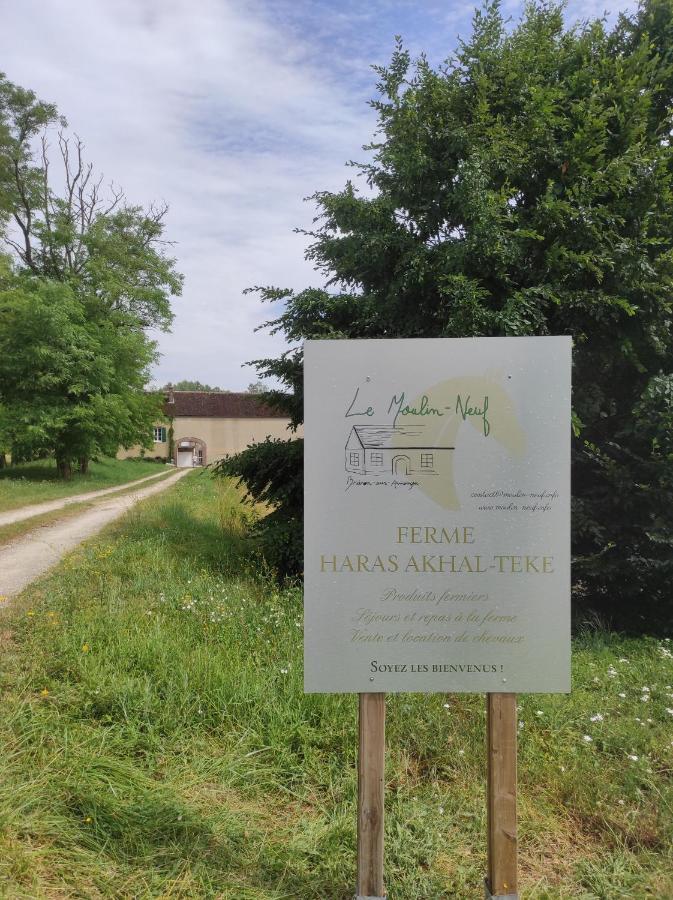 فيلا Le Moulin Neuf Brienon-sur-Armançon المظهر الخارجي الصورة