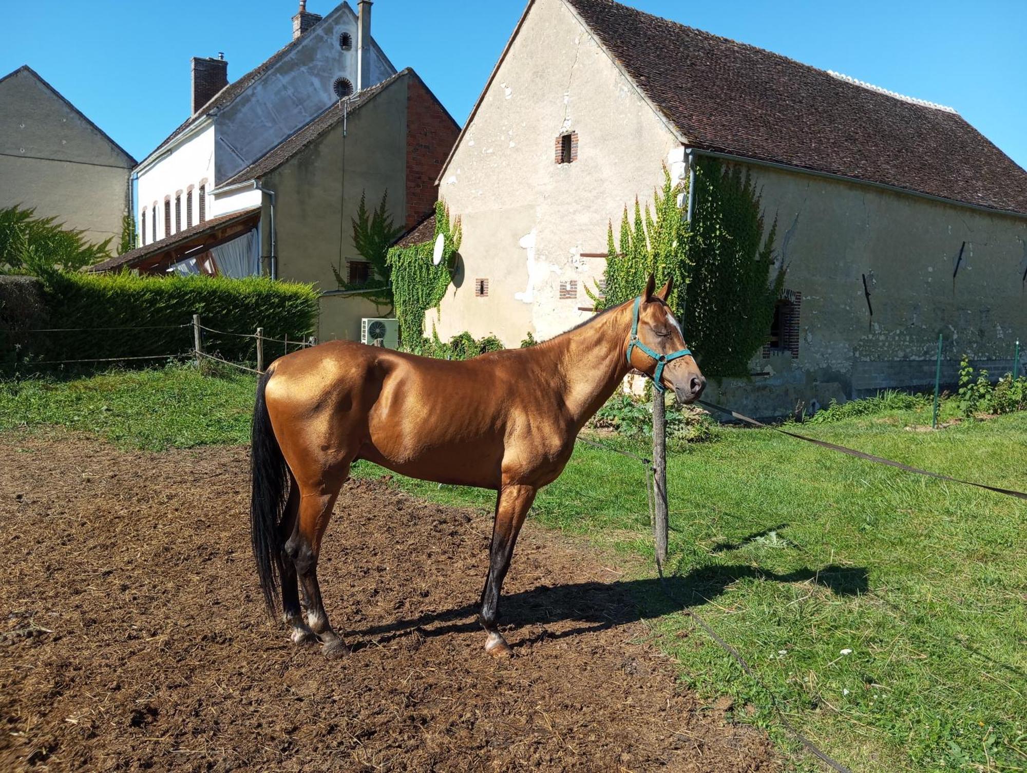 فيلا Le Moulin Neuf Brienon-sur-Armançon المظهر الخارجي الصورة
